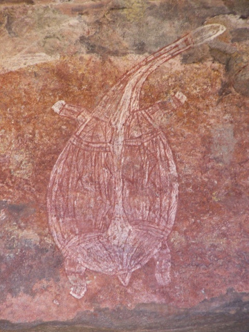 Ubirr Rock Turtle